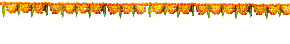 bg3